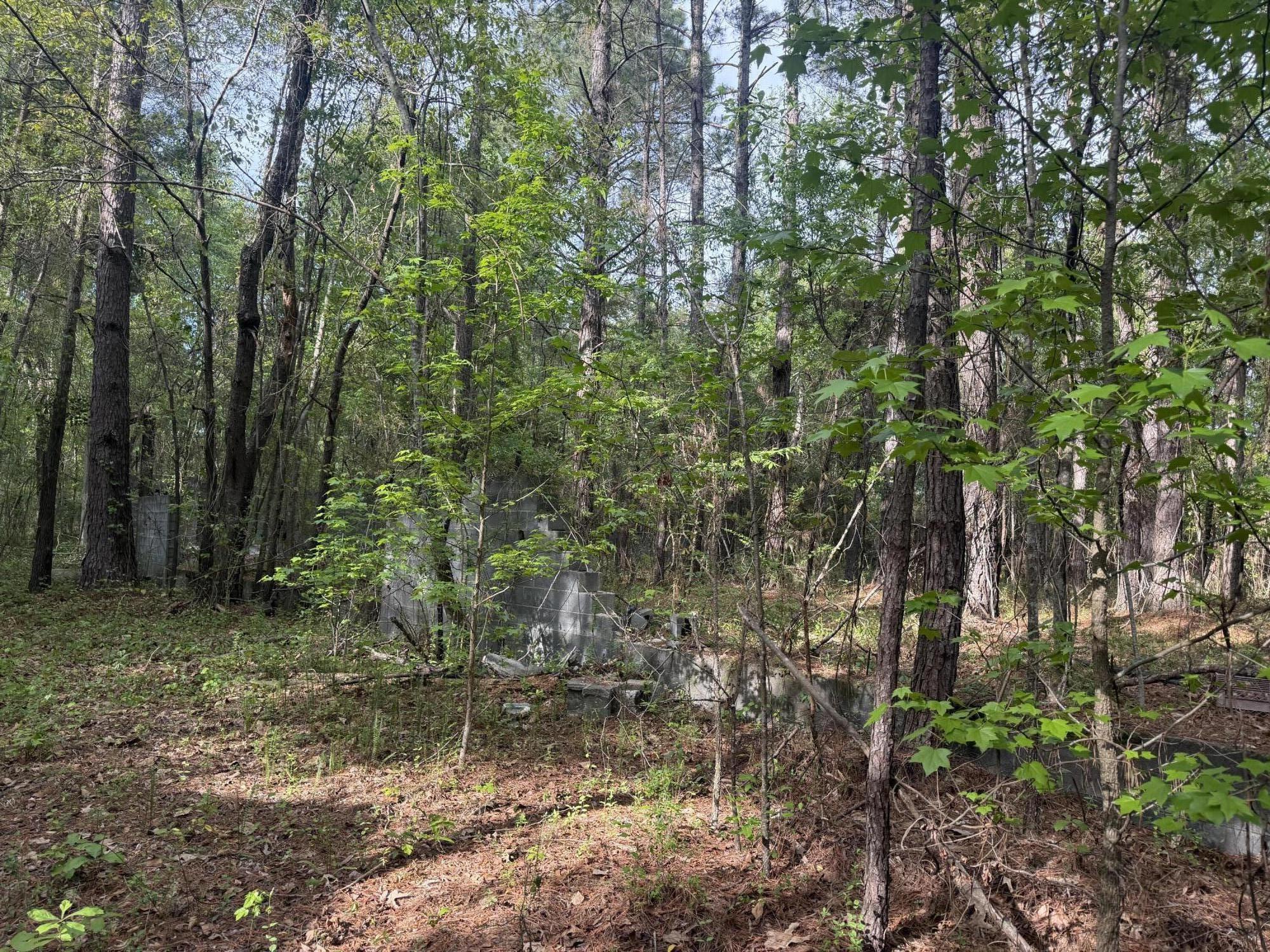 4255 Wedgefield Road Sumter, SC 29154 - Photo 3 of 8