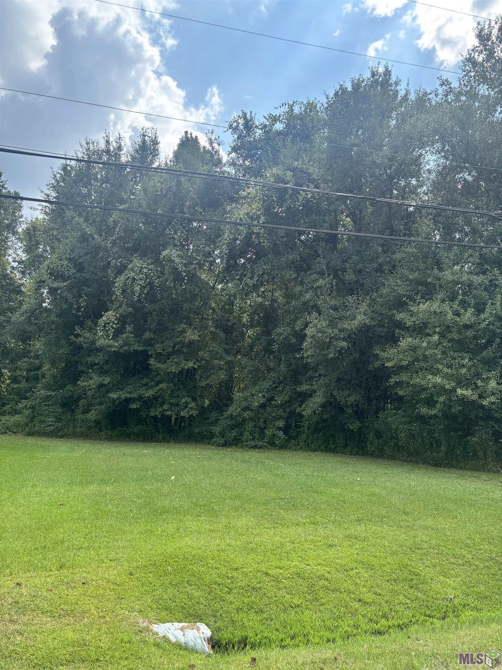 868 St John Lane Baton Rouge, LA 70807 - Photo 2 of 4