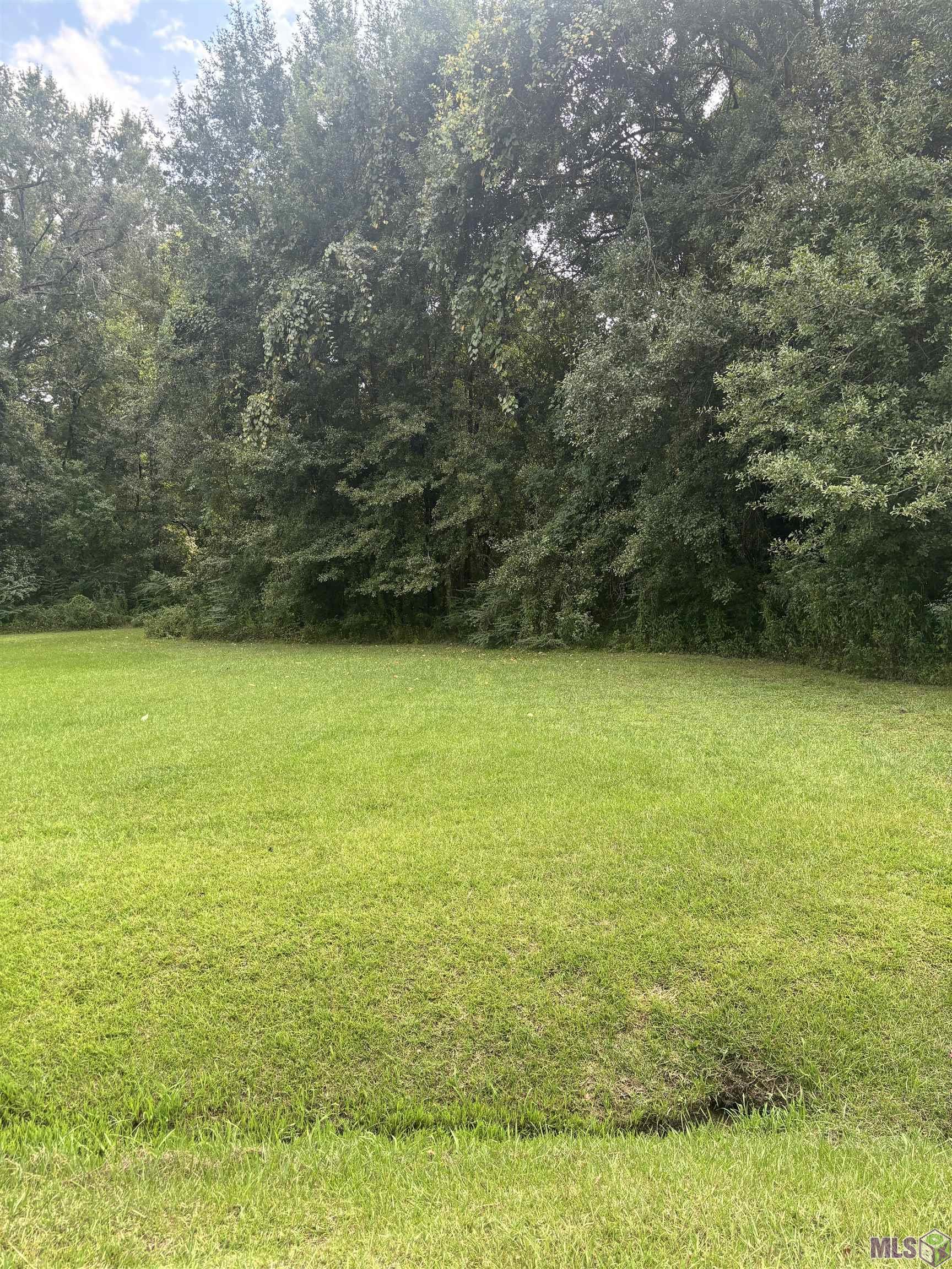 868 St John Lane Baton Rouge, LA 70807 - Photo 3 of 4