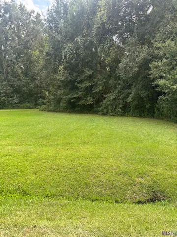 $9,900 | 868 St John Lane, Baton Rouge, LA 70807