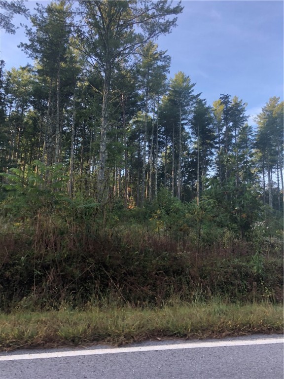 31.8-acres Chattooga Ridge Road Mountain Rest, SC 29664 - Photo 2 of 2 Gallery Image 2