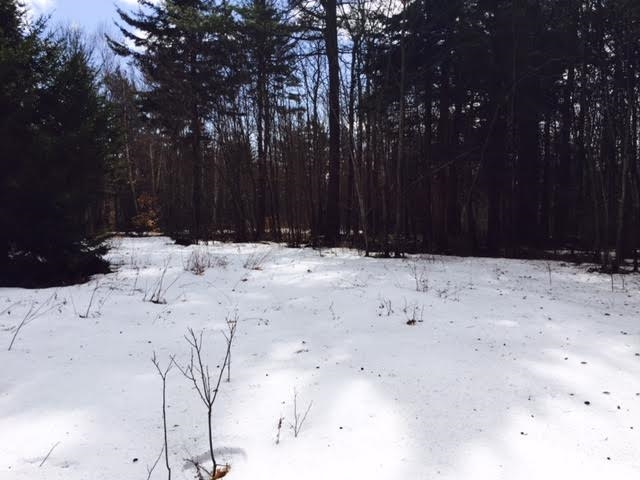 Faxon Faxon Hill Road, Unit 43 Washington, NH 03280 - Photo 3 of 8