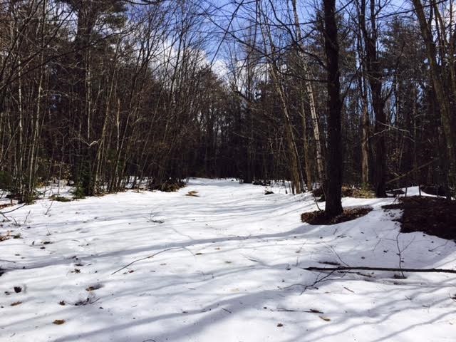Faxon Faxon Hill Road, Unit 43 Washington, NH 03280 - Photo 4 of 8