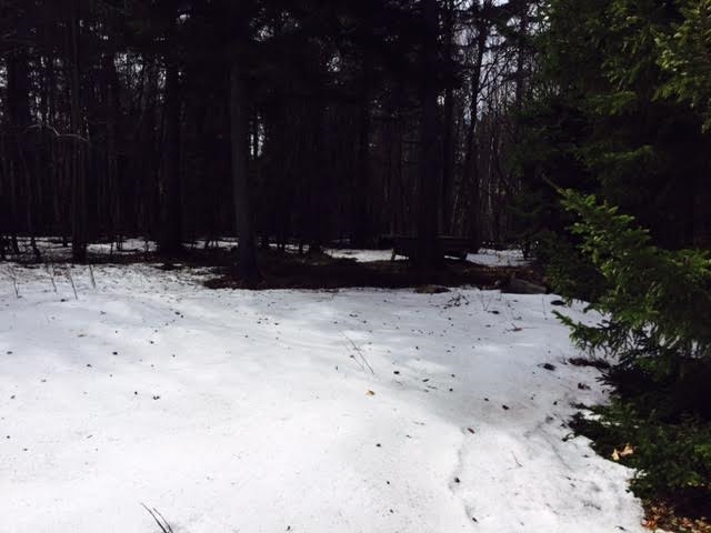 Faxon Faxon Hill Road, Unit 43 Washington, NH 03280 - Photo 5 of 8