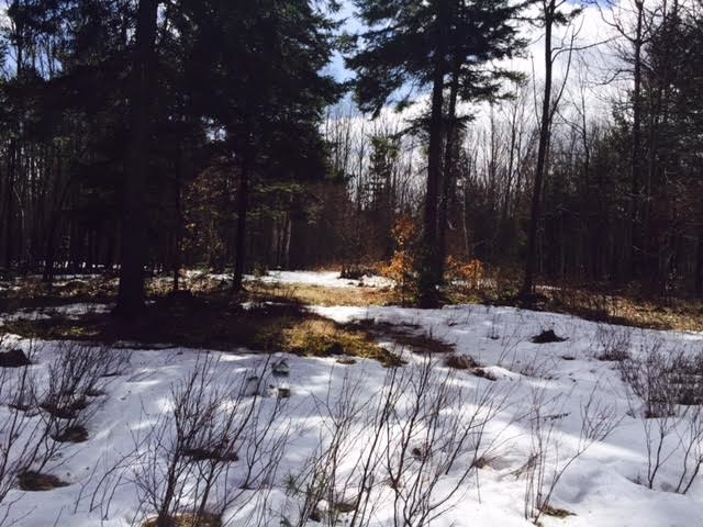 Faxon Faxon Hill Road, Unit 43 Washington, NH 03280 - Photo 6 of 8