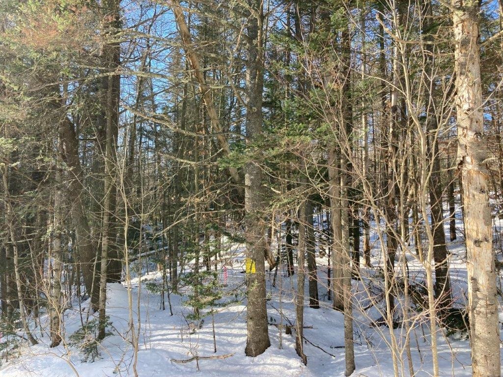 0 South Road Canaan, NH 03741 - Photo 1 of 12