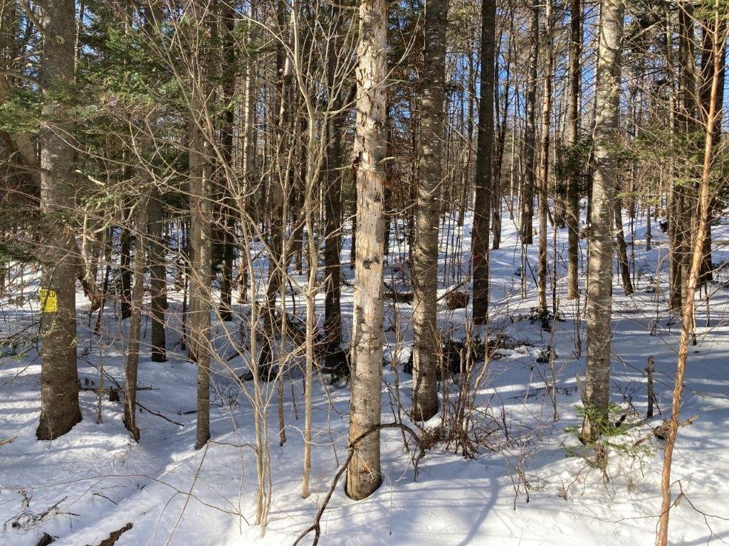 0 South Road Canaan, NH 03741 - Photo 2 of 12