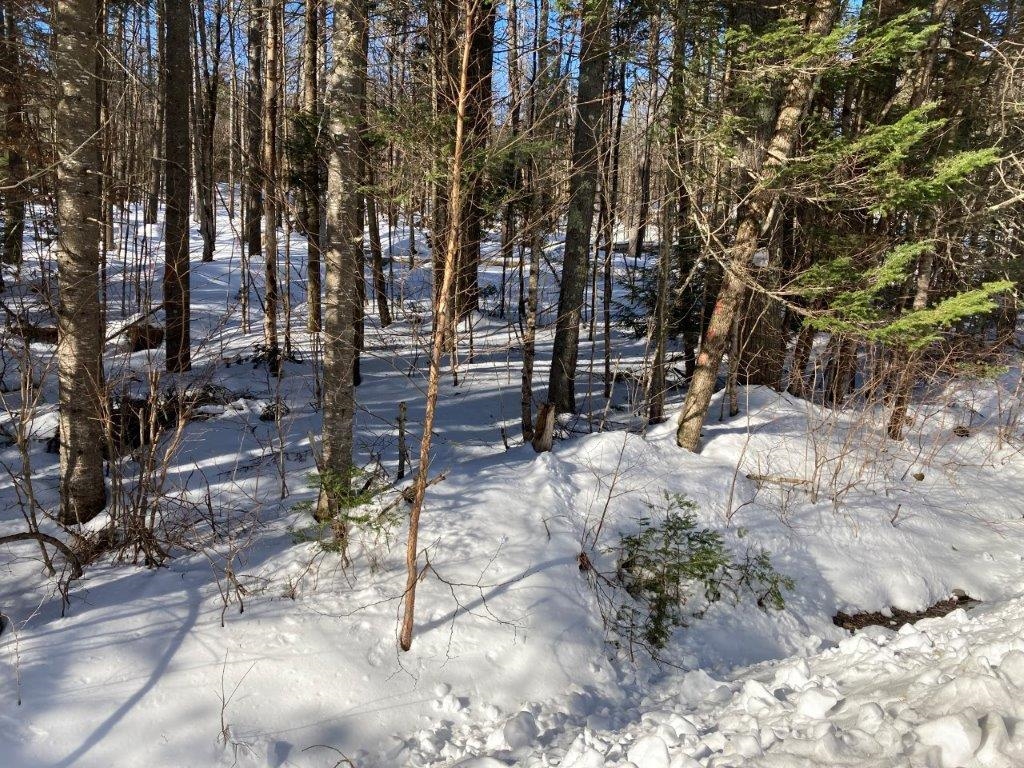 0 South Road Canaan, NH 03741 - Photo 3 of 12