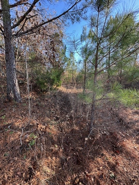 0 Sawyers Mill Road Bruceton, TN 38317 - Photo 12 of 40 a view of a yard
