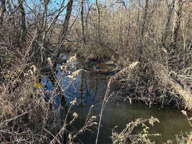 0 Sawyers Mill Road Bruceton, TN 38317 - Photo 23 of 40