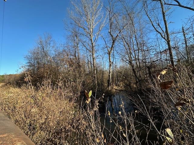 0 Sawyers Mill Road Bruceton, TN 38317 - Photo 24 of 40