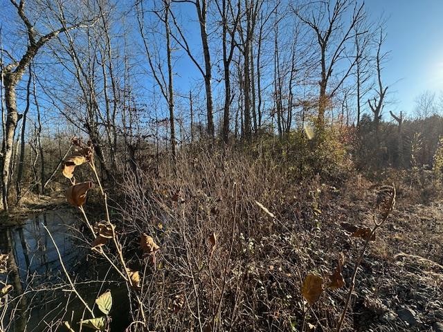 0 Sawyers Mill Road Bruceton, TN 38317 - Photo 25 of 40 a view of a yard