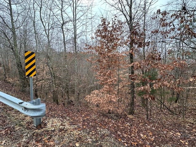 0 Sawyers Mill Road Bruceton, TN 38317 - Photo 39 of 40