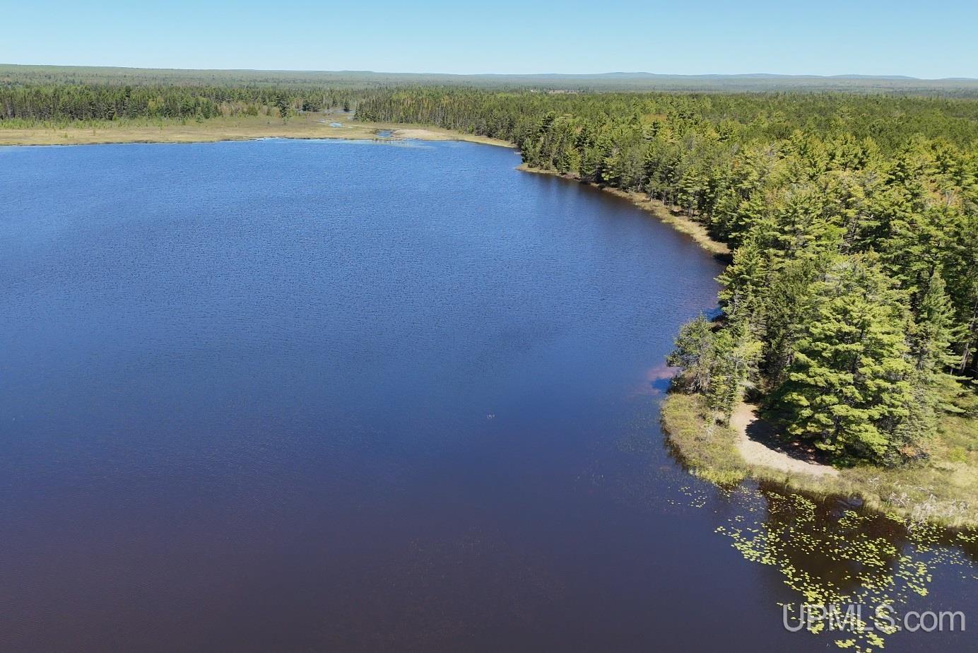 Tbd303 Little Rice Lk Road Lake Linden, MI 49945 - Photo 4 of 22
