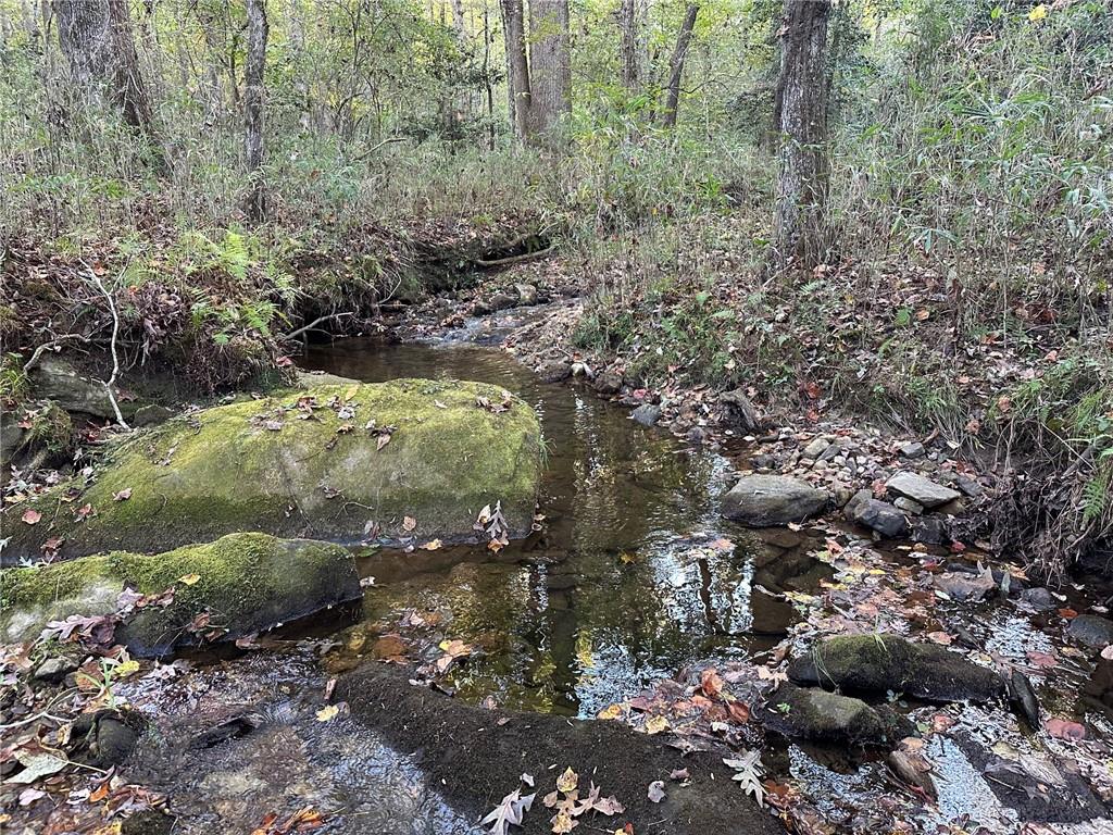 0 Lee Mashburn Road Dahlonega, GA 30533 - Photo 14 of 19