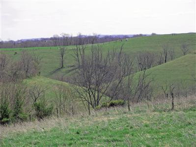 442 Kelly Ridge Road Lancaster, KY 40444 - Photo 3 of 18 Great Views in all directions. Take a l