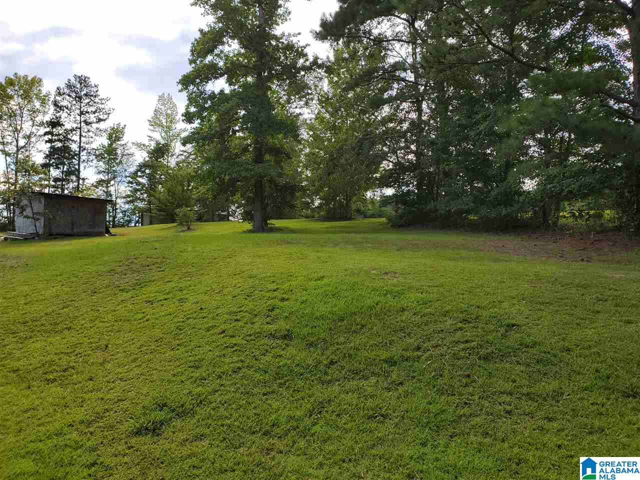 395 Hollow Branch Road Rockford, AL 35136 - Photo 10 of 26