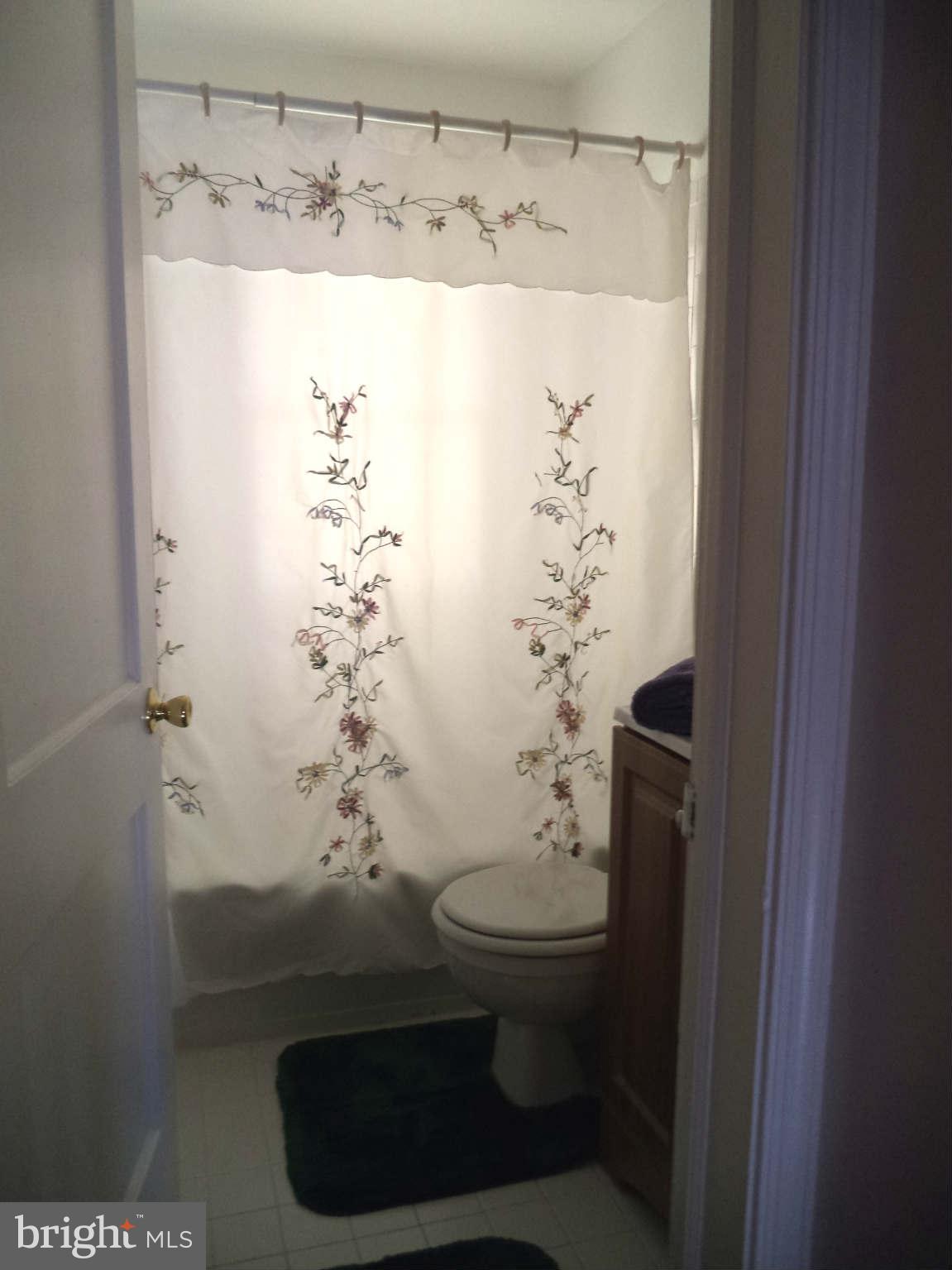 1132 Elm Road Baltimore, MD 21227 - Photo 8 of 27 a bathroom with a shower and a toilet