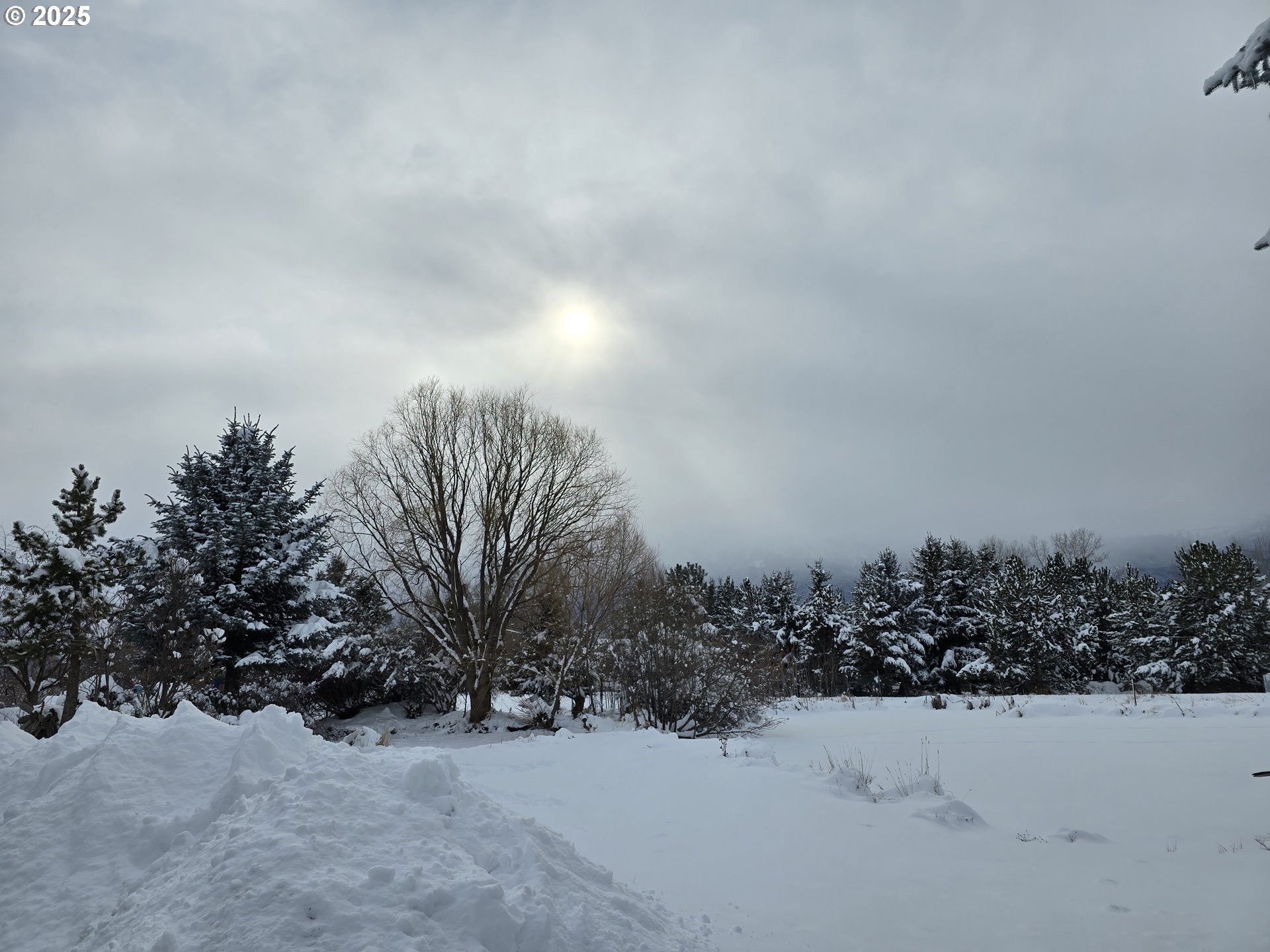 118 Fish Hatchery Lane Enterprise, OR 97828 - Photo 17 of 25 a view of a covered with snow in middle of house