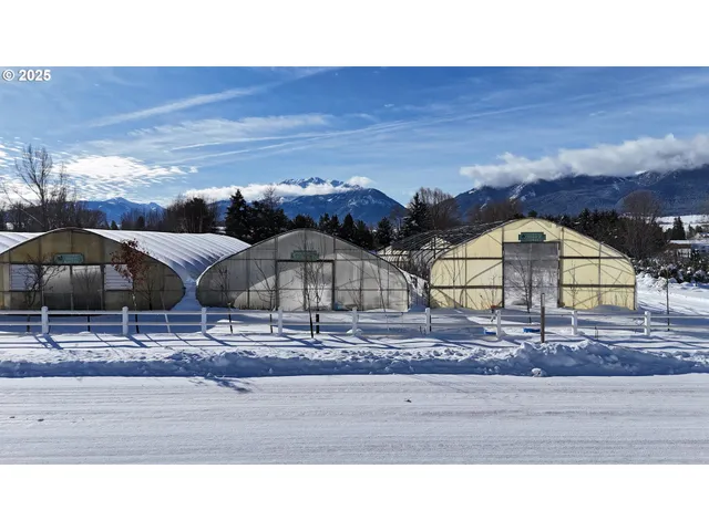 a black and white photo of a city