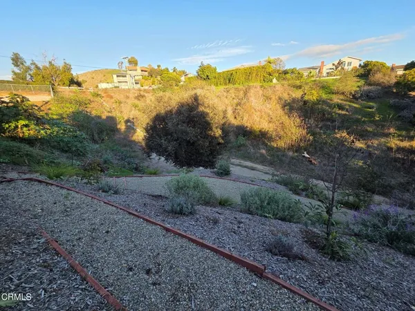 a view of a yard