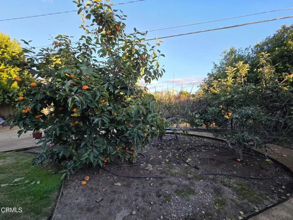 a view of staircase with a rug