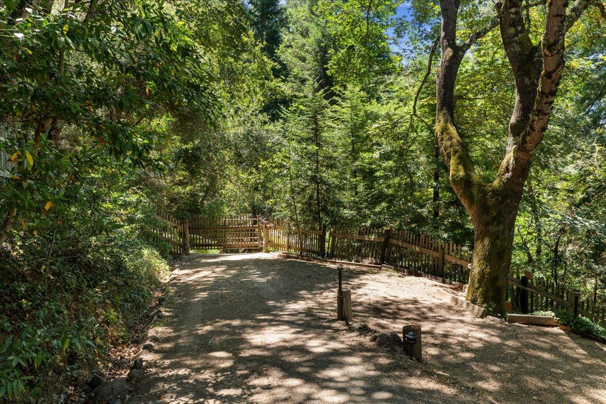15171 Old Ranch Road Los Gatos, CA 95033 - Photo 23 of 26 a view of a tree in the middle of a yard
