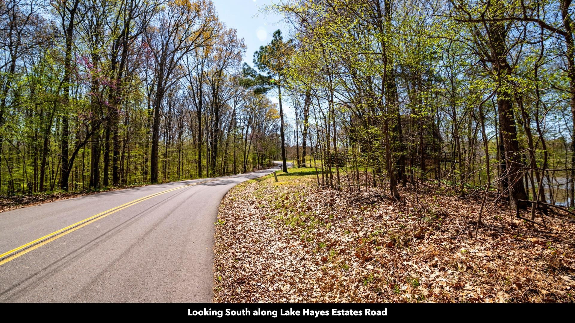 -lot 20 Lake Hayes Estate Road Trenton, TN 38382 - Photo 11 of 34 a view of outdoor space with trees