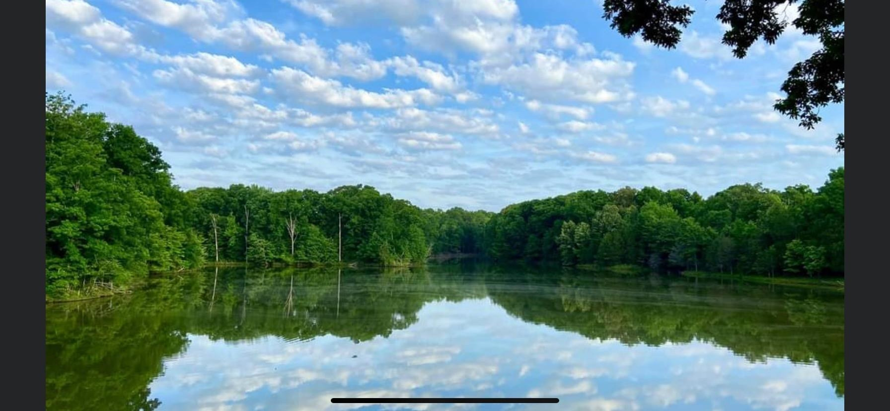 -lot 20 Lake Hayes Estate Road Trenton, TN 38382 - Photo 23 of 34 a view of a lake from a yard