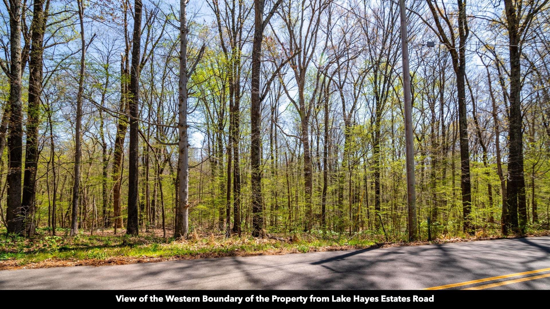 -lot 20 Lake Hayes Estate Road Trenton, TN 38382 - Photo 3 of 34 a view of outdoor space with garden