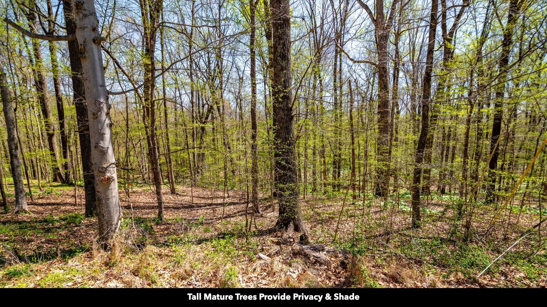 -lot 20 Lake Hayes Estate Road Trenton, TN 38382 - Photo 4 of 34 a view of outdoor space with garden