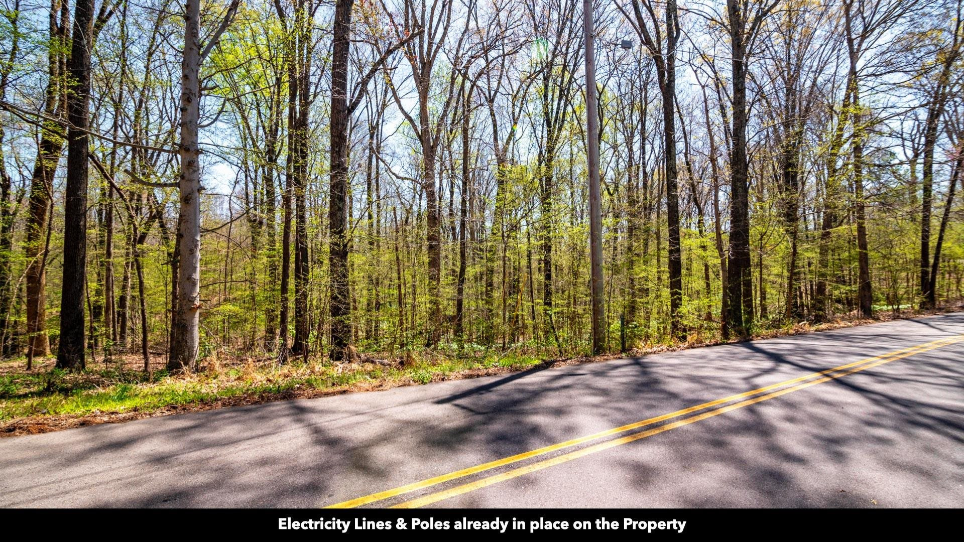 -lot 20 Lake Hayes Estate Road Trenton, TN 38382 - Photo 5 of 34