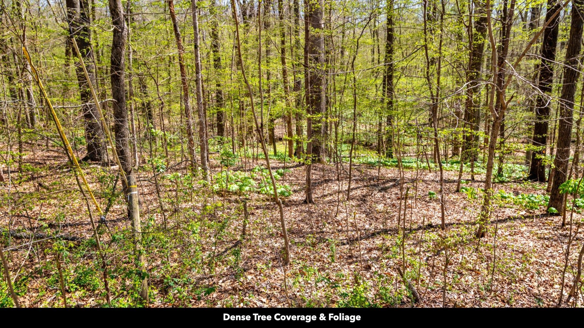 -lot 20 Lake Hayes Estate Road Trenton, TN 38382 - Photo 6 of 34 a view of residential area