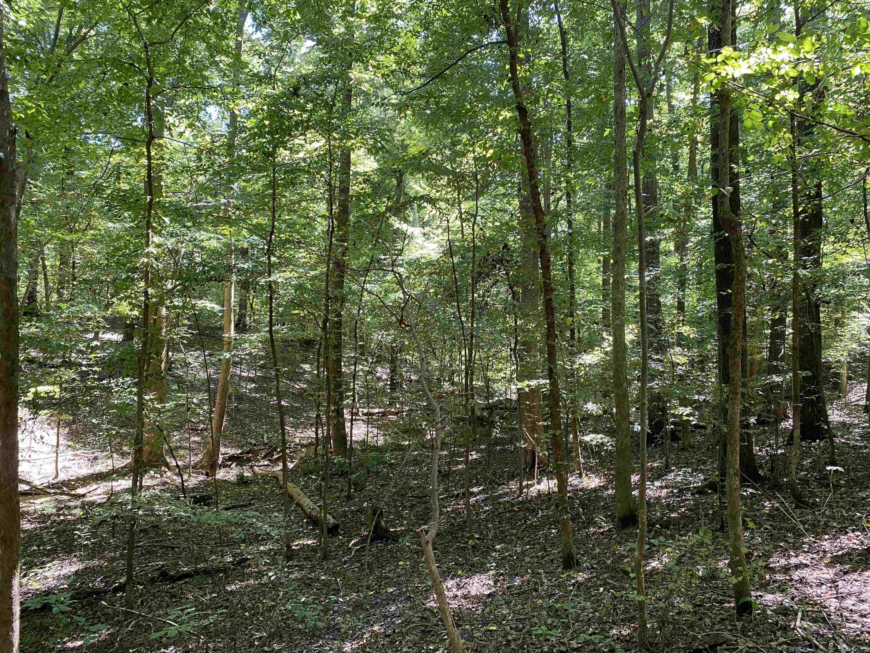 -lot 20 Lake Hayes Estate Road Trenton, TN 38382 - Photo 7 of 34