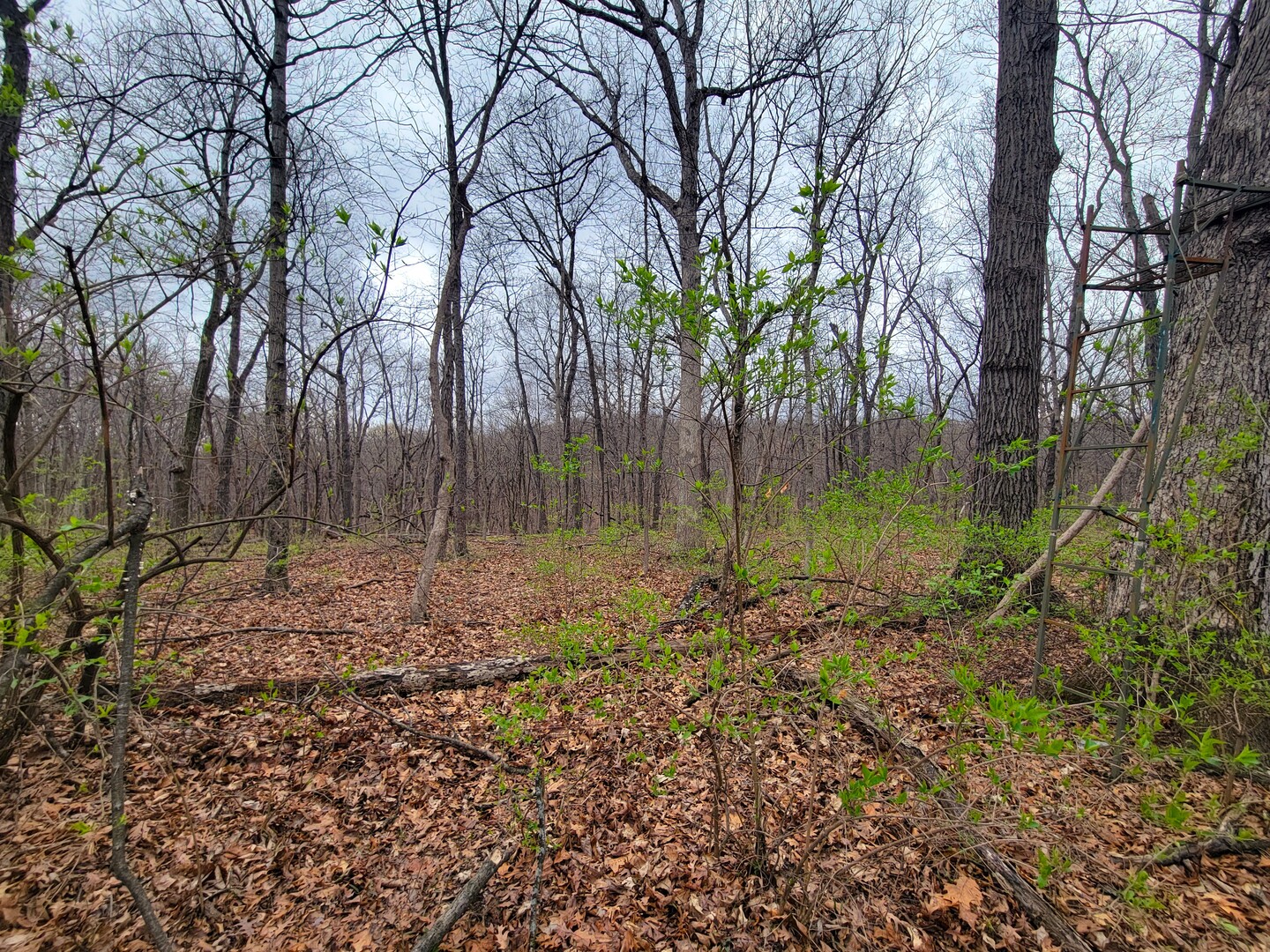 2569 East 22nd Road Marseilles, IL 61341 - Photo 13 of 39