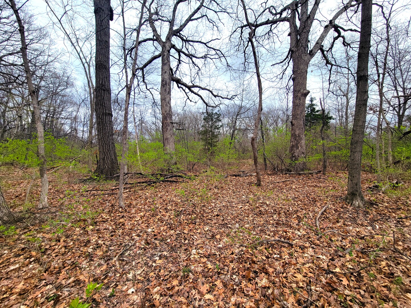 2569 East 22nd Road Marseilles, IL 61341 - Photo 14 of 39