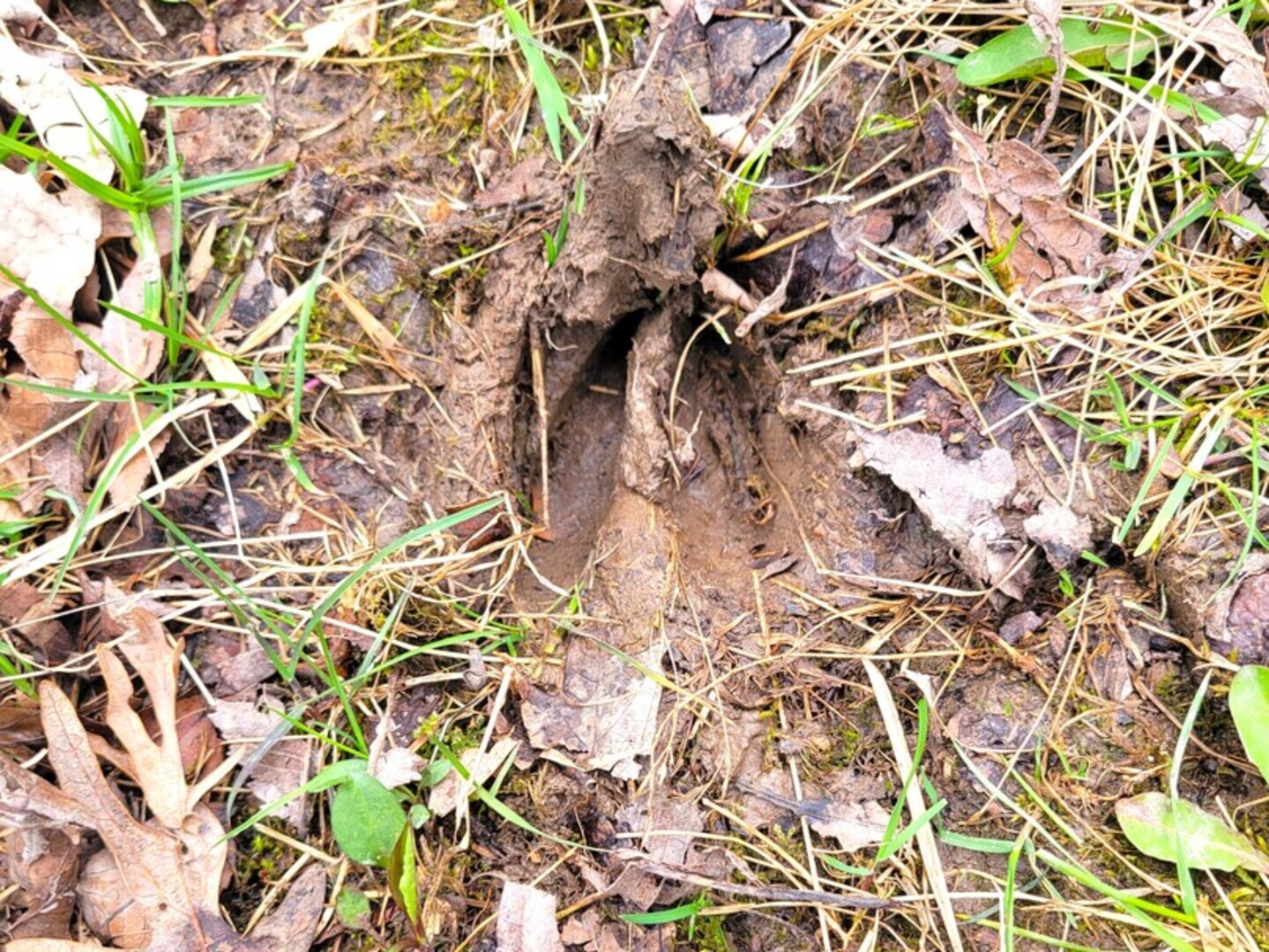 2569 East 22nd Road Marseilles, IL 61341 - Photo 15 of 39