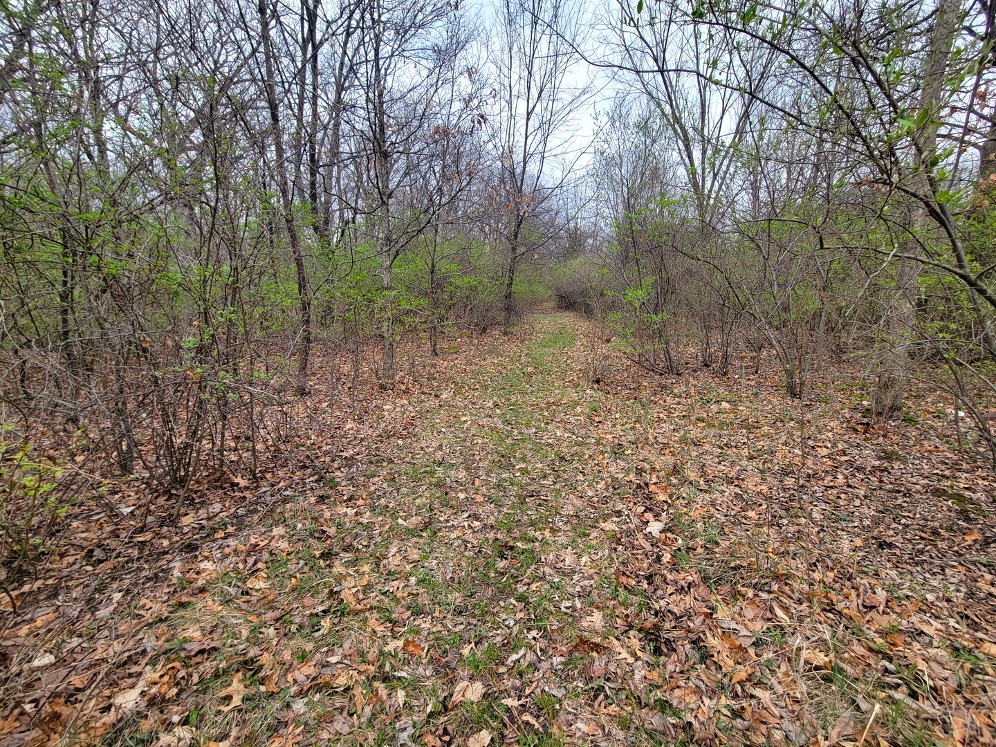2569 East 22nd Road Marseilles, IL 61341 - Photo 24 of 39