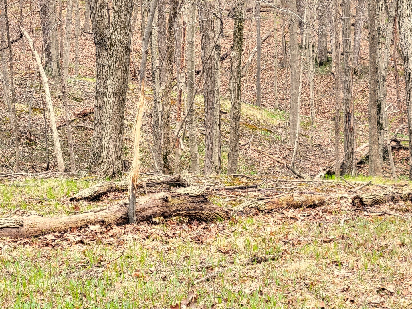 2569 East 22nd Road Marseilles, IL 61341 - Photo 25 of 39