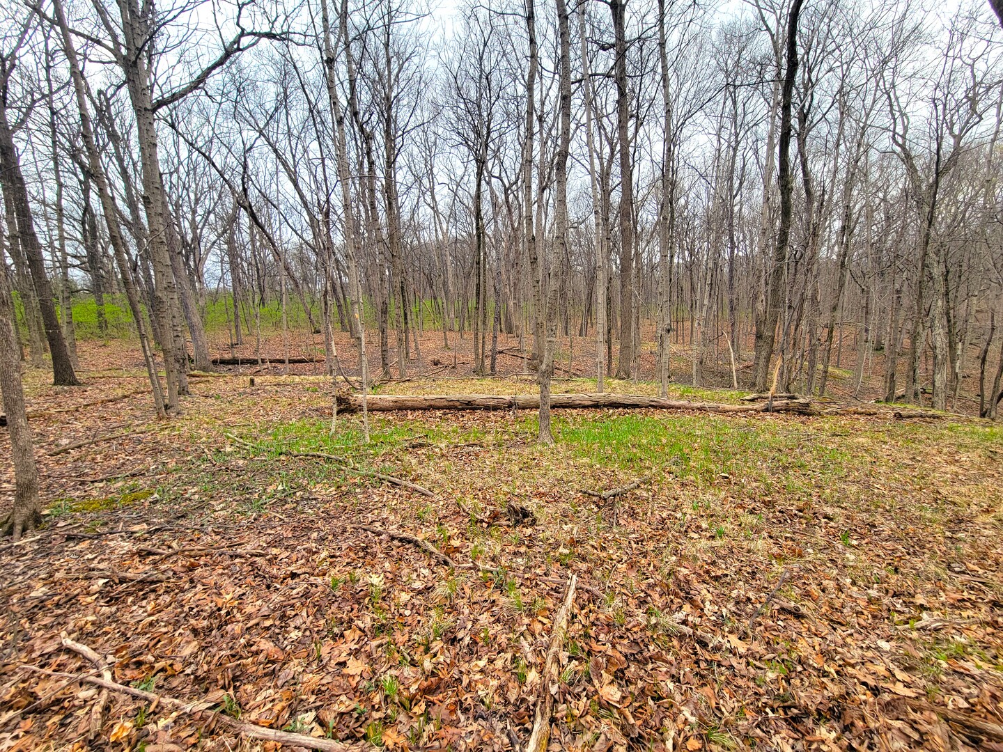 2569 East 22nd Road Marseilles, IL 61341 - Photo 26 of 39