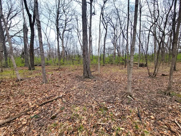 $217,842 | 2569 East 22nd Road, Marseilles, IL 61341
