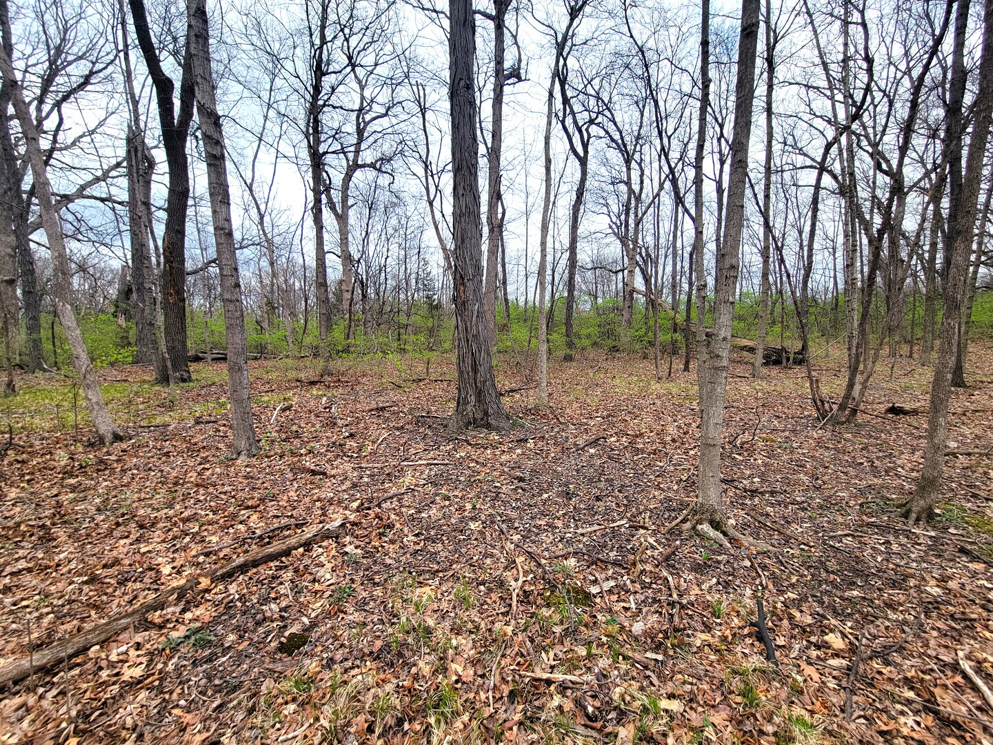 2569 East 22nd Road Marseilles, IL 61341 - Photo 27 of 39