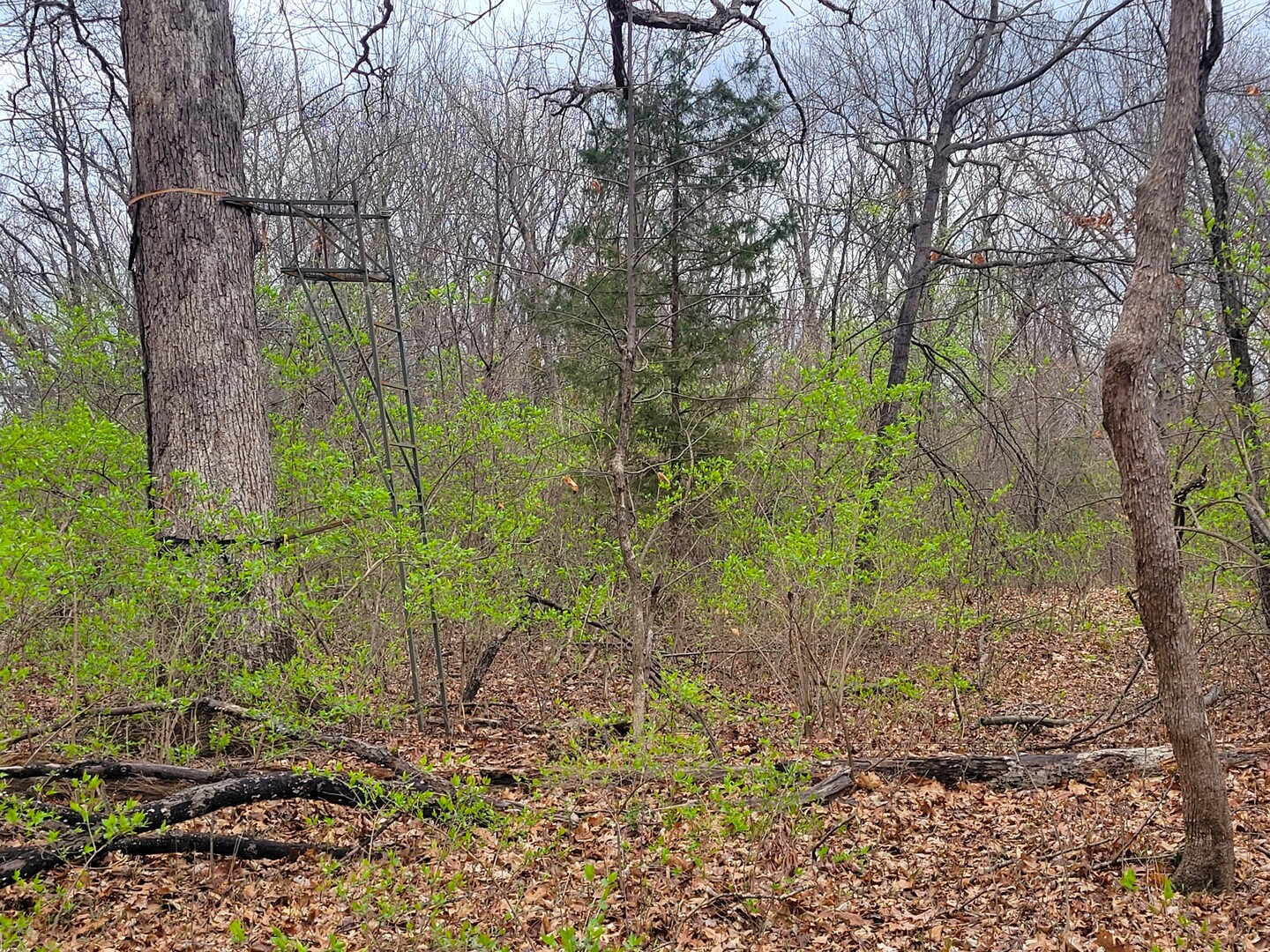 2569 East 22nd Road Marseilles, IL 61341 - Photo 28 of 39