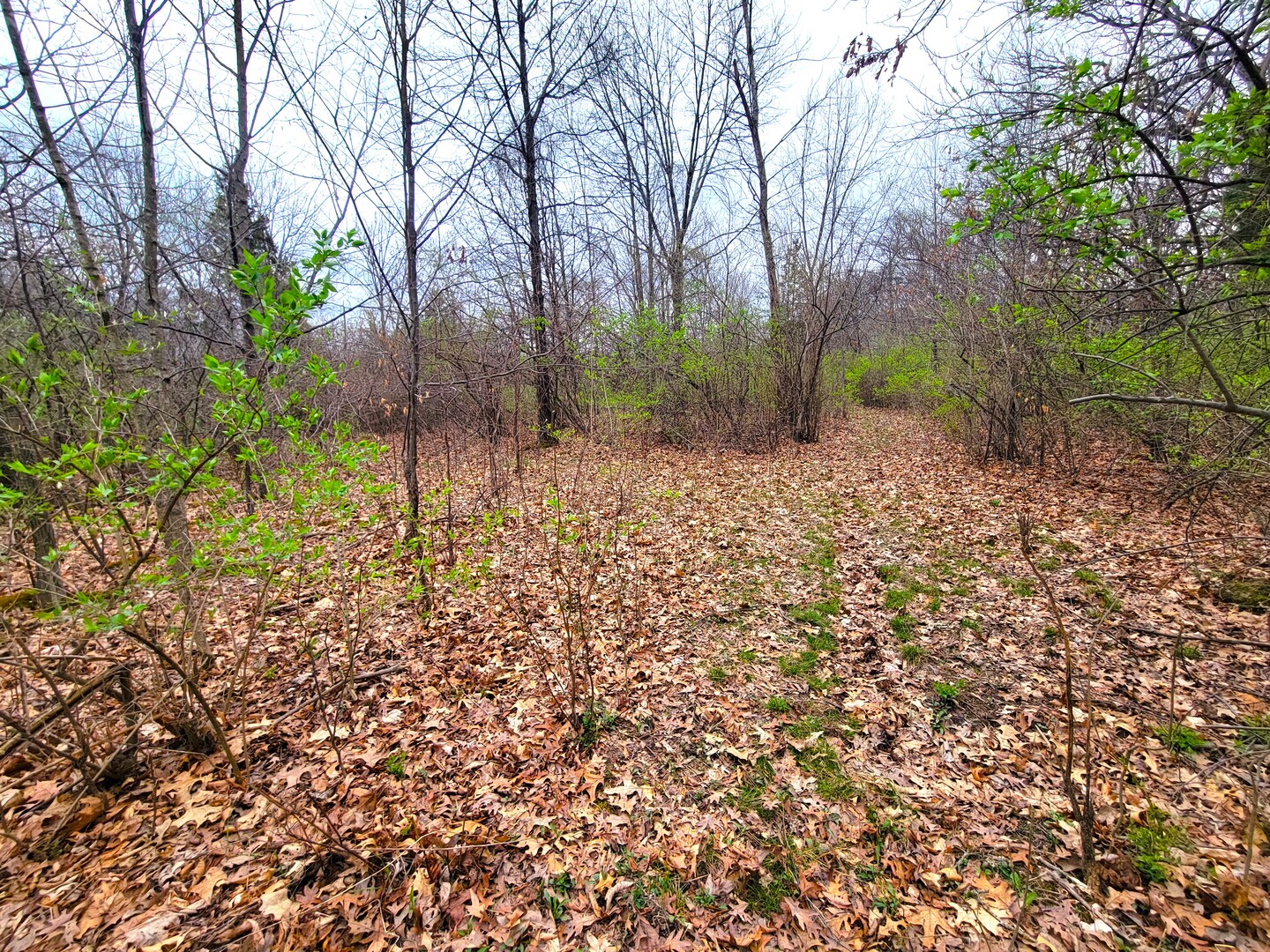 2569 East 22nd Road Marseilles, IL 61341 - Photo 29 of 39