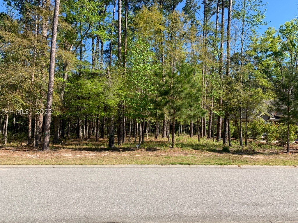 166 Cutter Circle Bluffton, SC 29909 - Photo 1 of 1 Gallery Image 1