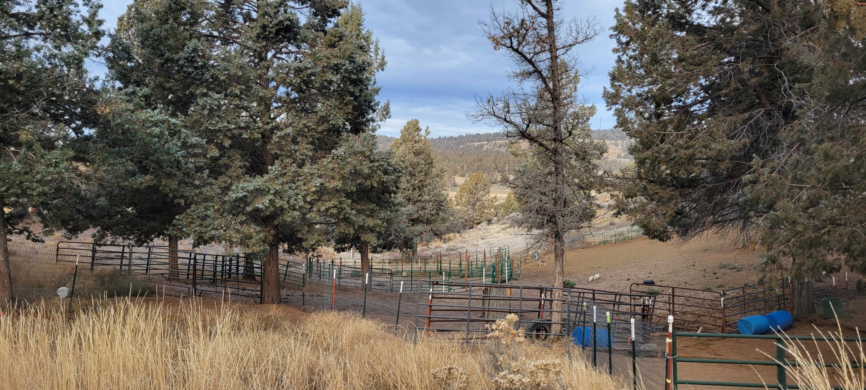7467 Harpold Road Klamath Falls, OR 97603 - Photo 12 of 35 6