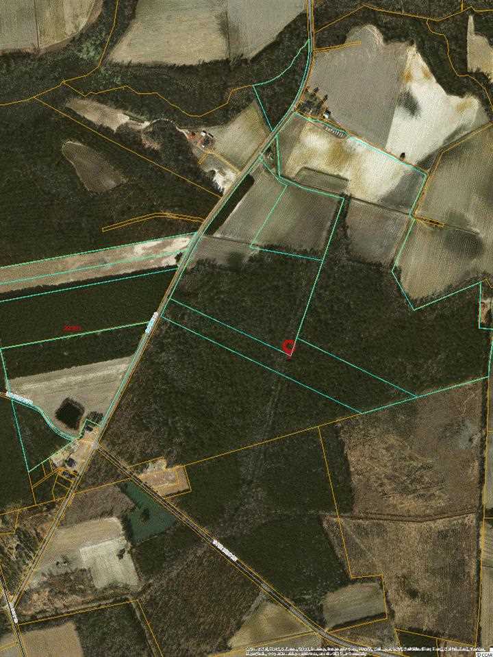 3126 Duford Road Nichols, SC 29581 - Photo 1 of 7 Gallery Image 1