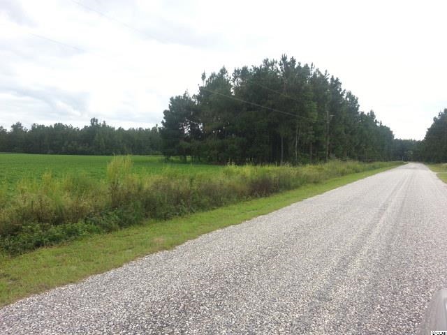 3126 Duford Road Nichols, SC 29581 - Photo 2 of 7 Gallery Image 2