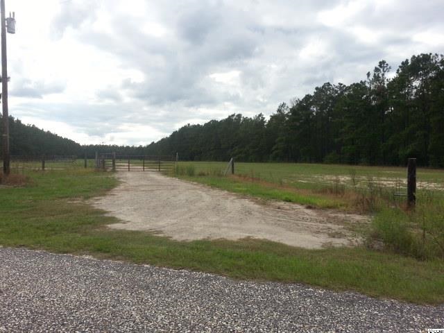 3126 Duford Road Nichols, SC 29581 - Photo 4 of 7 Gallery Image 4