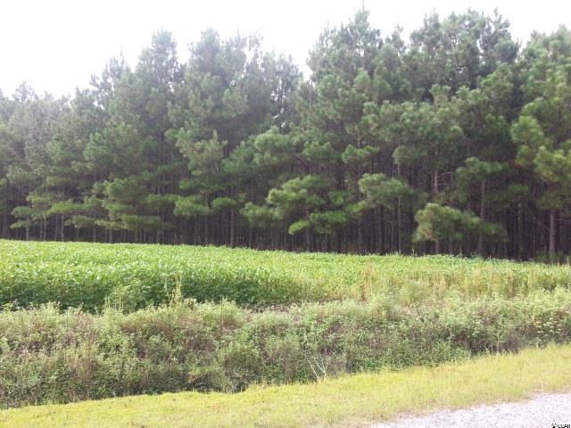 3126 Duford Road Nichols, SC 29581 - Photo 7 of 7 Gallery Image 7
